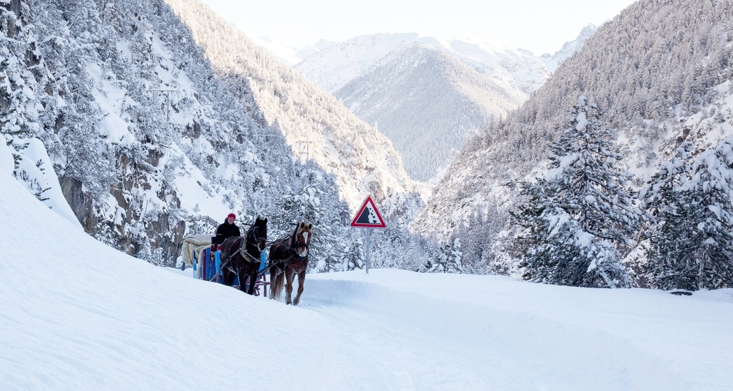 Kutschenfahrt ins Val S-charl