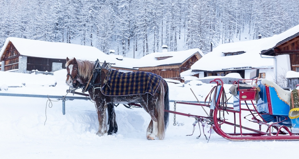 Kutschenfahrt ins Val S-charl