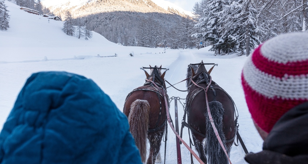 Kutschenfahrt ins Val S-charl
