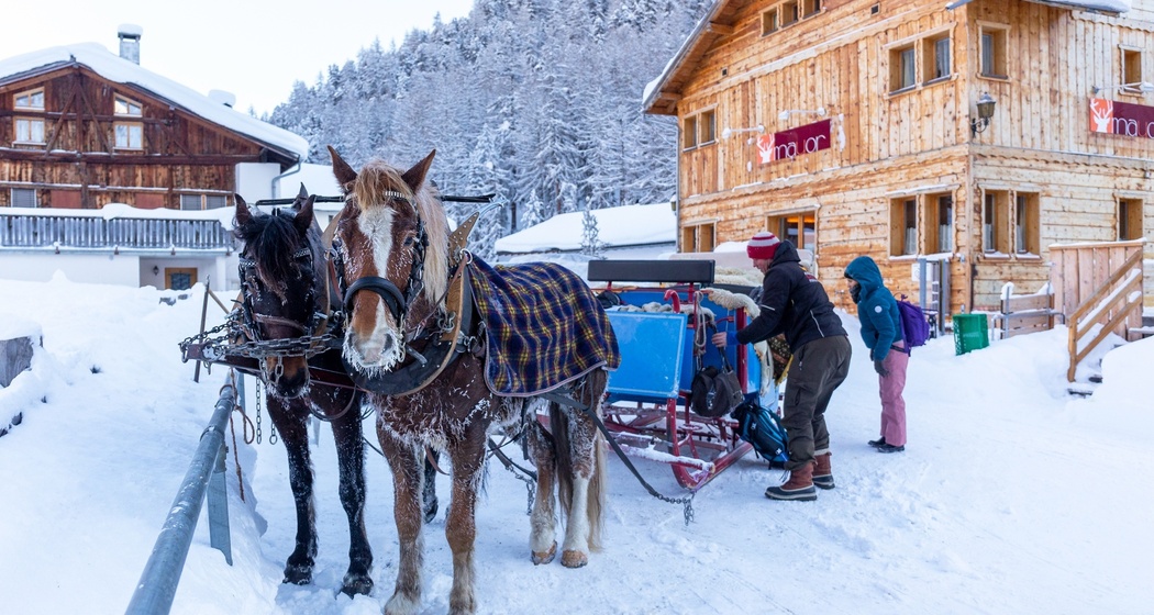 Kutschenfahrten ins Gasthaus Mayor