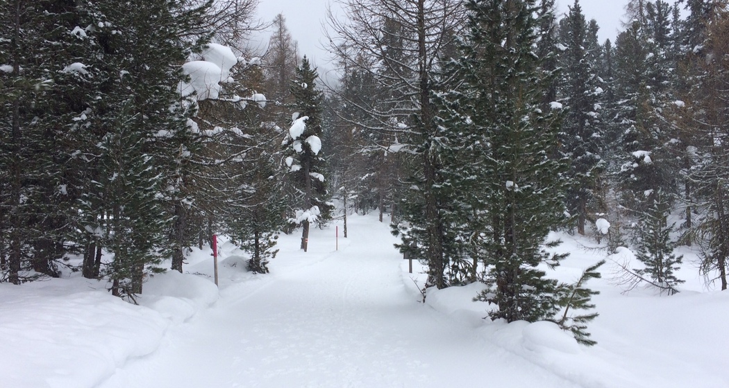 Winterwanderweg