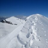 405 - Zapporthorn (oua_56029221_image)