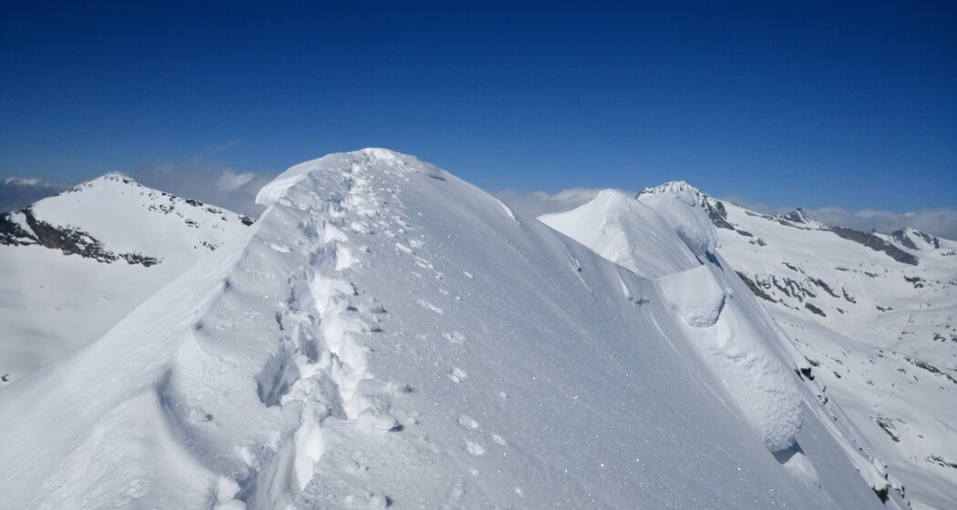 oua_56029221_image 405 - Zapporthorn