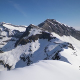 405 - Zapporthorn (oua_56029222_image)