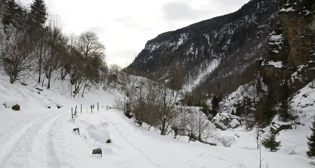 Rossa - Pro de Leura - Sespet - Alp de Naucal (oua_56029224_image)