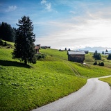 Strada da Falera verso Curnius