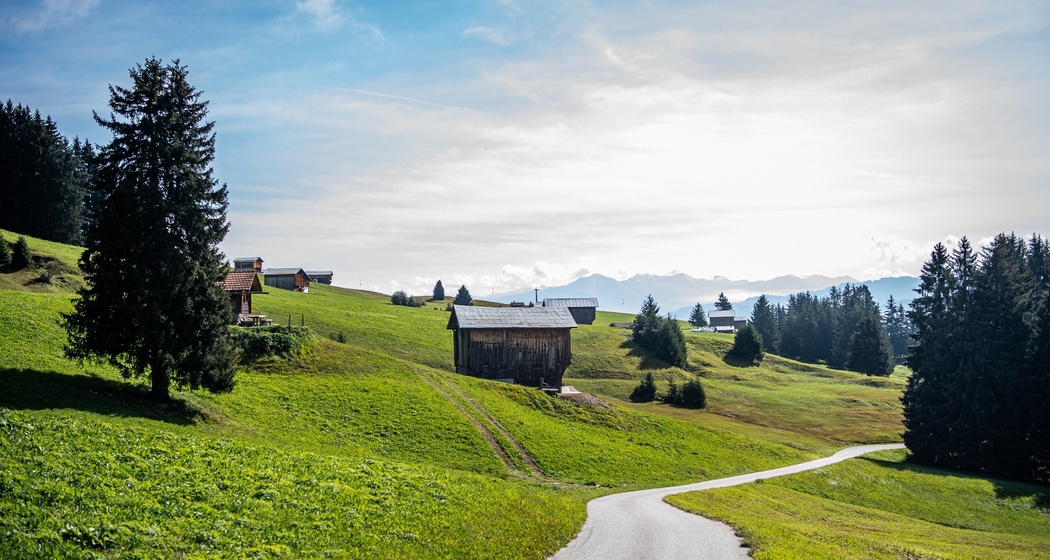 Strasse von Falera Richtung Curnius