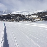 St. Moritzersee Loipe