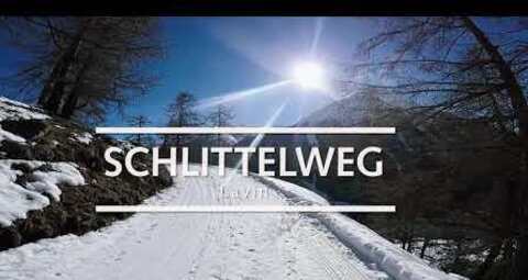 Schlittelweg Lavin