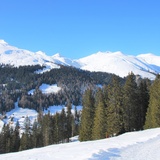 Rinerhorn (oua_56324810_image)