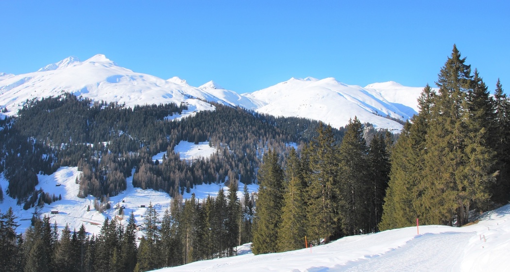 Rinerhorn (oua_56324810_image)