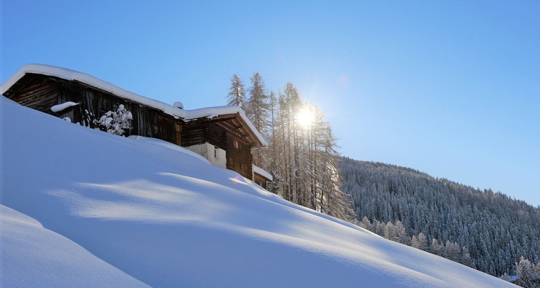 Rinerhorn (oua_56324861_image)