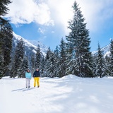 Monbiel – Alp Garfiun – Alp Novai (oua_56341380_image)