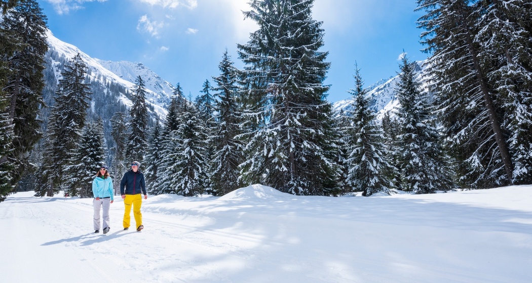 Monbiel – Alp Garfiun – Alp Novai (oua_56341380_image)