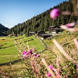 793 Schlappinerjoch (oua_56363654_image)