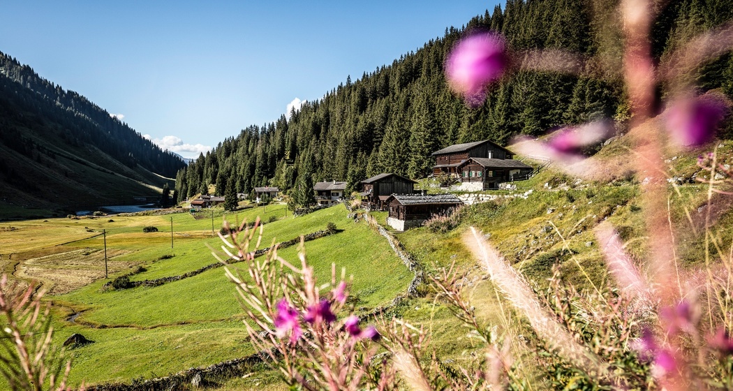 793 Schlappinerjoch (oua_56363654_image)