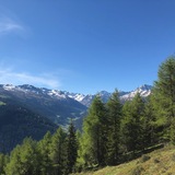 Grüeni Alp vista sul Sertig