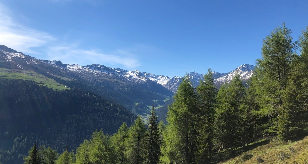 Grüeni Alp Blick ins Sertig