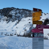 Information board in Fadretsch