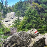 Bivio - Stalveder (Kinderwagengerecht) (oua_56418815_image)