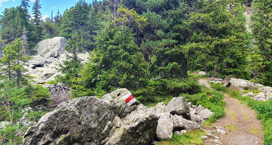 Bivio - Stalveder (Kinderwagengerecht) (oua_56418815_image)