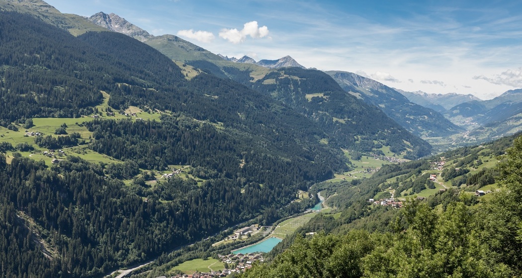 Uvreus (oua_56635440_image)