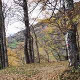 Uvreus (oua_56635442_image)