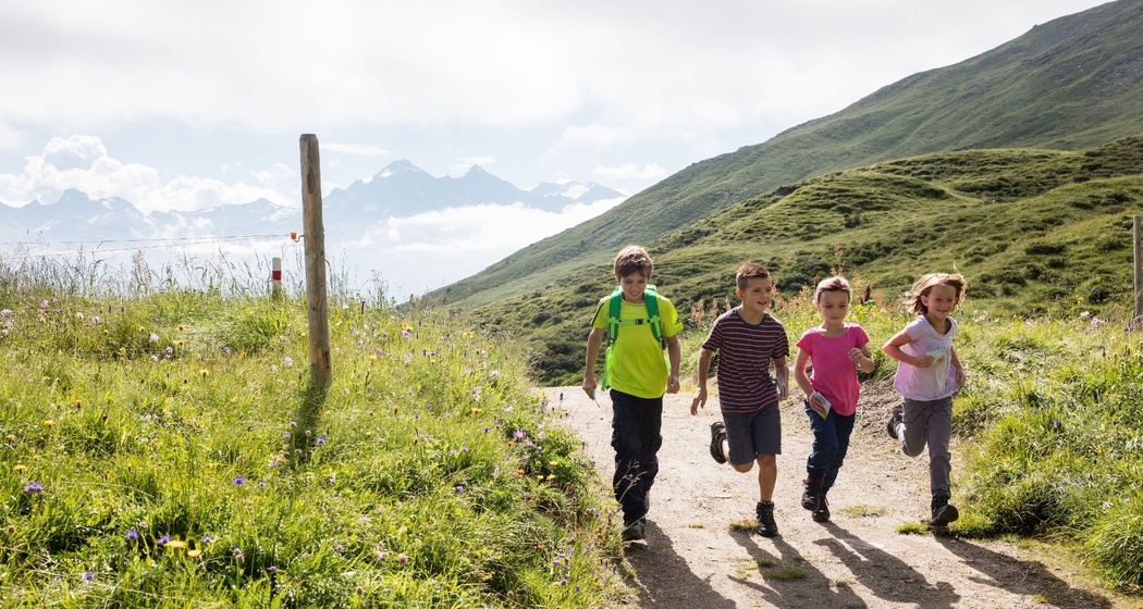 Flurin und die wundersame Vollmondblume (Kinderwagengerecht) (oua_56637432_image)