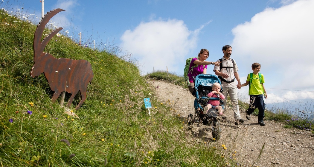 Flurin und die wundersame Vollmondblume (Kinderwagengerecht) (oua_56637434_image)