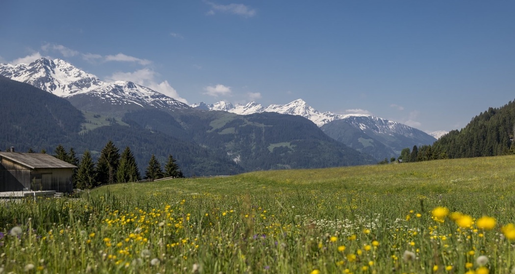 Spazierweg Naul (Kinderwagentauglich) (oua_56645490_image)