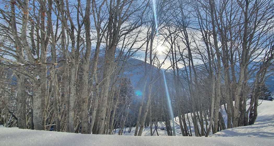 Savognin - Soras - Rudnal (oua_56646326_image)