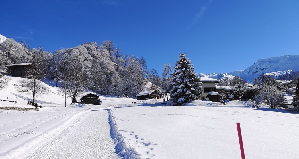 Alpenrösli (oua_56667764_image)