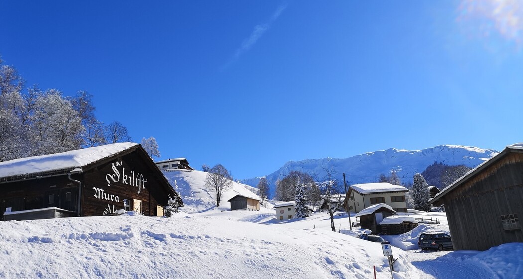 Alpenrösli (oua_56667765_image)