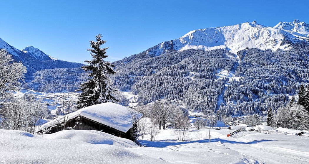 Alpenrösli (oua_56667767_image)