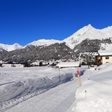 Carriage ride Davos Platz train station - Teufi (Dischma valley) (oua_56667847_image)