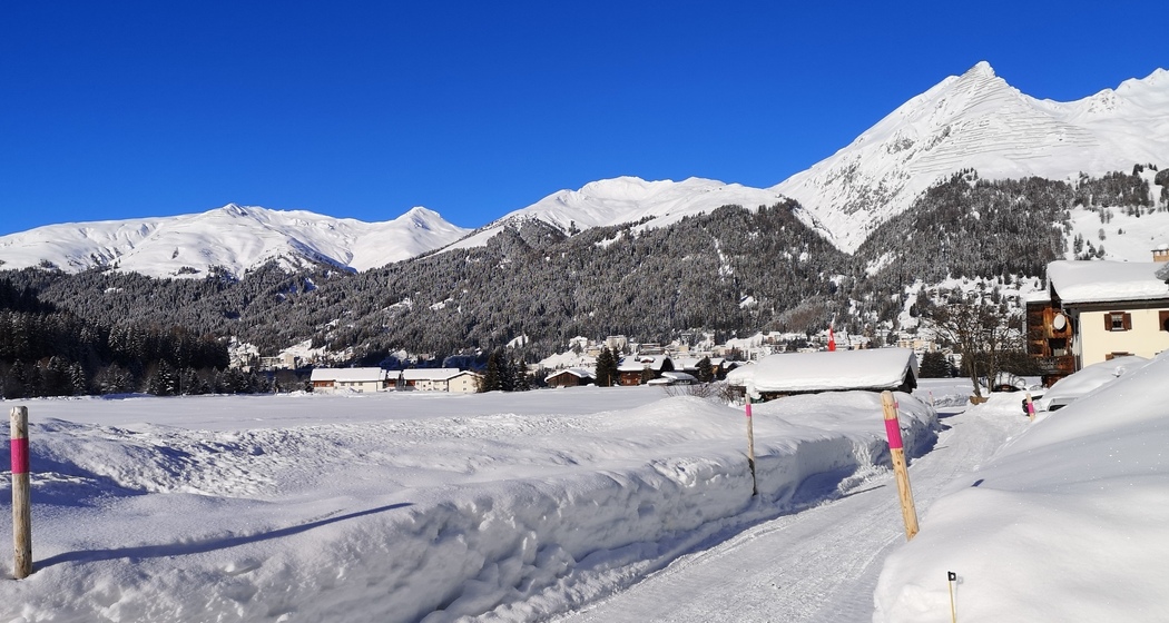 Kutschenfahrt Bahnhof Davos Platz - Teufi (Dischmatal) (oua_56667847_image)