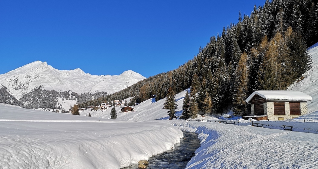 Kutschenfahrt Bünda Davos Dorf - Teufi (Dischmatal) (oua_56667849_image)