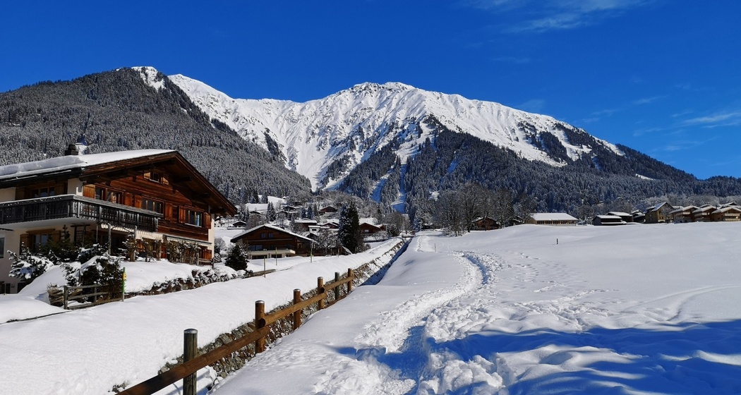 619 Alpenrösli-Trail (oua_56668042_image)