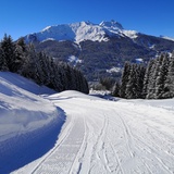 Schlittelbahn Alpenrösli (oua_56668095_image)