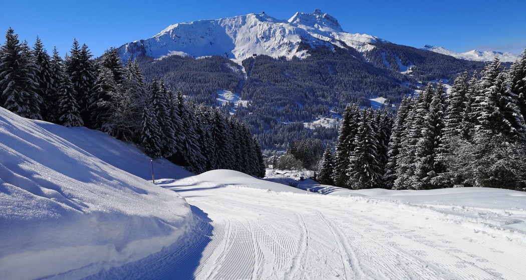 Schlittelbahn Alpenrösli (oua_56668095_image)