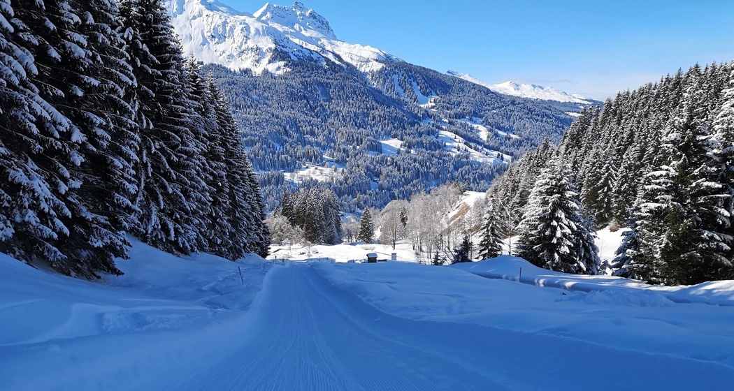 Schlittelbahn Alpenrösli (oua_56668096_image)