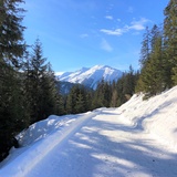 Wolfgang - Meierhof (oua_56764695_image)