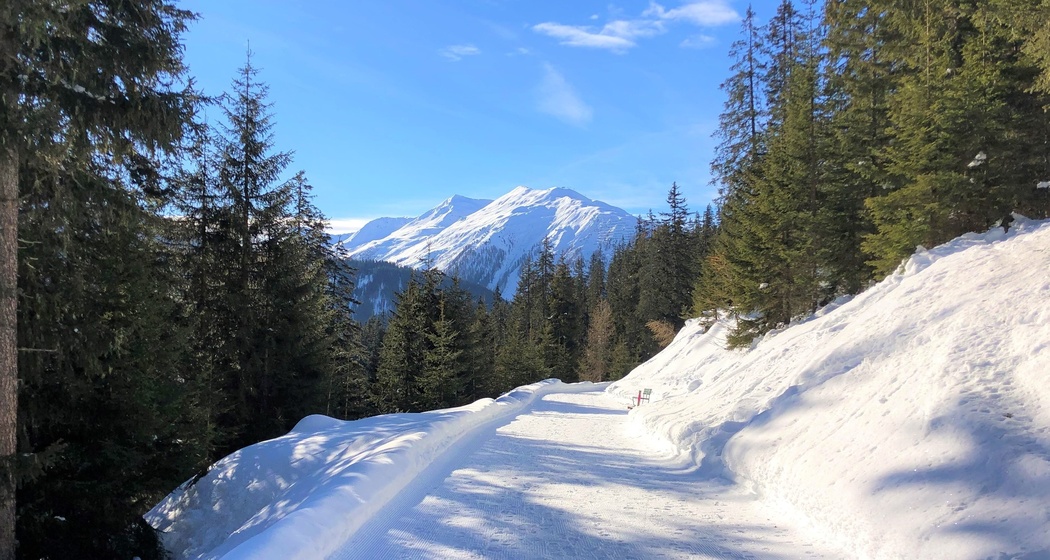 Wolfgang - Meierhof (oua_56764695_image)