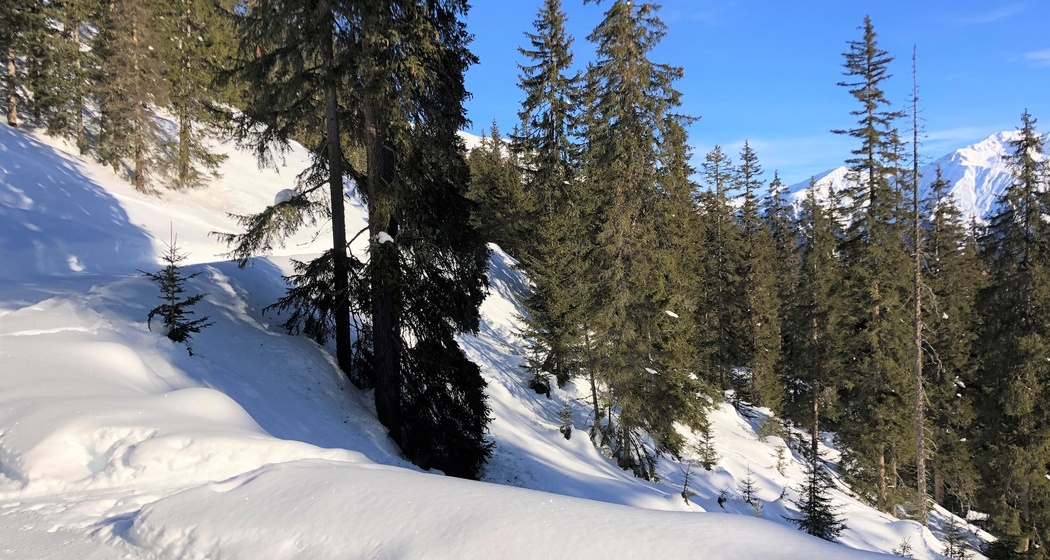 Wolfgang - Meierhof (oua_56764696_image)