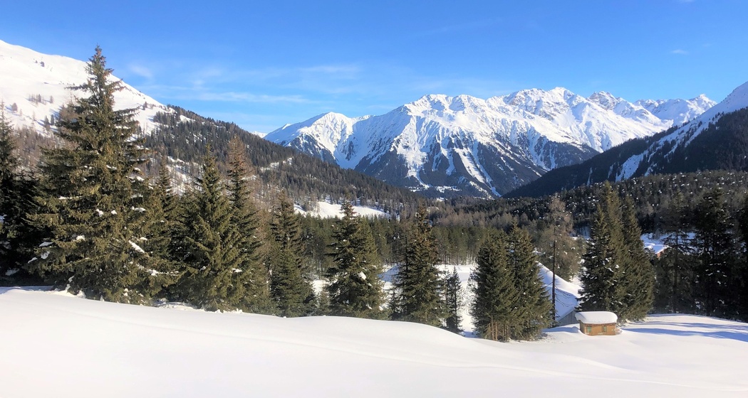 Wolfgang - Meierhof (oua_56764698_image)