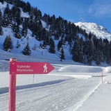 Bivio - Stalvedro - Bivio (oua_56766168_image)