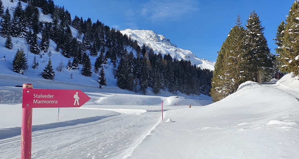 Bivio - Stalvedro - Bivio (oua_56766168_image)