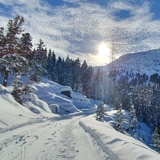 Bivio - Stalvedro - Bivio (oua_56766186_image)