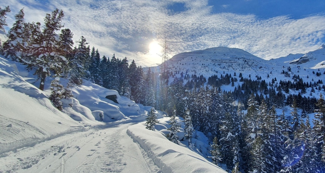 Bivio - Stalvedro - Bivio (oua_56766186_image)