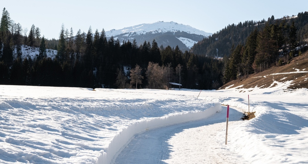 25 Trin Mulin - Conn (oua_56769711_image)